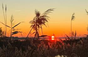 La Perle Rose Villa Standing 5 étoiles avec piscine jacuzzi et superbe vue - Foto 45