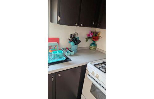 Cozy Tiny House - 25mins From Downtown Detroit - Foto 8