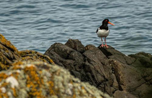 Harbour view retreat - Foto 24