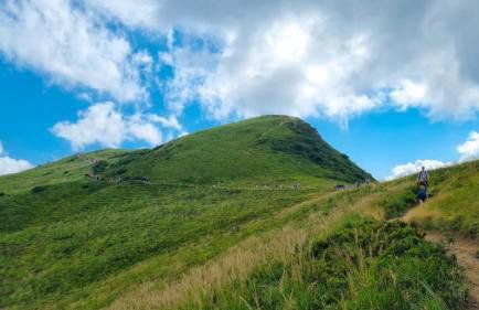 Domki Nad Bocianim Gniazdem - Foto 15