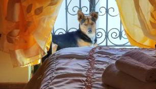 La casetta della nonna - Photo 5