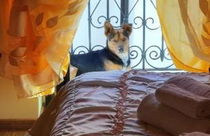 La casetta della nonna - Photo 5