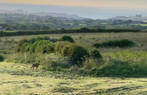 Idyllic Whitby Cottage, with sea views, sleeps 6 - Foto 22