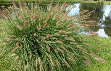 Domek nad stawem - Foto 16