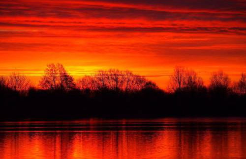 Roseberry Cottage - Lower Mill Estate - Photo 50