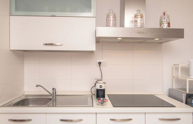 Mono Gambero Eucalyptus 241 - Foto 5