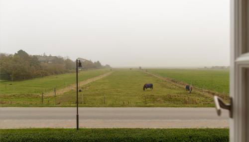 Appartementhaus Lüüvhoog - Foto 3