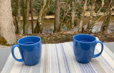 River Run Cottage Modern 2BR Waterfront Retreat in Linville Land Harbor - Foto 14