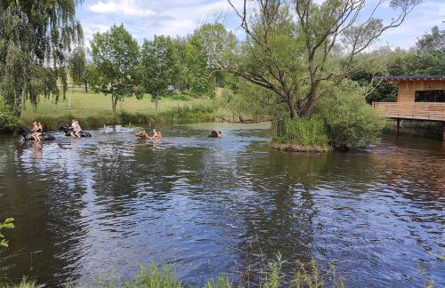 TinyHousebeiDresden mit Faßsauna Über dem Wasser schwebendes winziges Häuschen Nähe Dresden Sächsische Schweiz - Foto 15