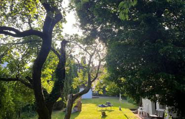 Die grüne Bleibe im Pfälzer Wald - Foto 19