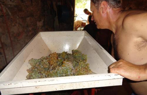 Apartments Brkić, Lozovac Krka NP with Pool - Foto 77