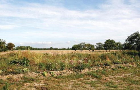 Lovely Home In Beiershagen With Wifi - Foto 9