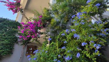 Apartmani Marinović - Foto 2