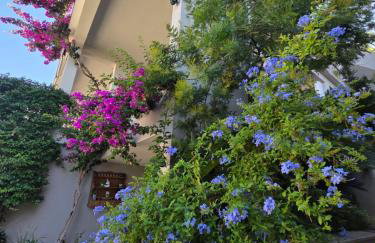 Apartmani Marinović - Foto 2