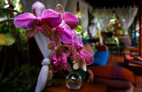 Dazkarizeh73 - Photo 53