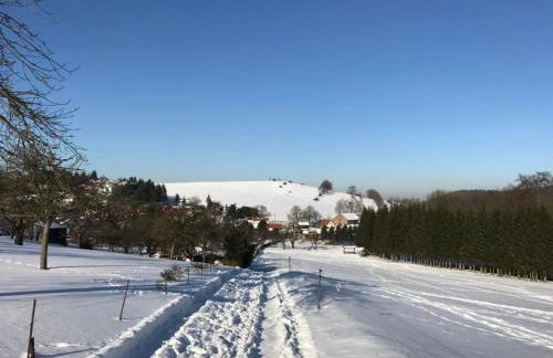 Holiday Home am Weiher by Interhome - Foto 34