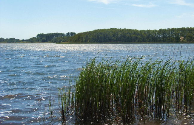Apartments With Terrace at the Kummerower See in Sommersdorf - Foto 45
