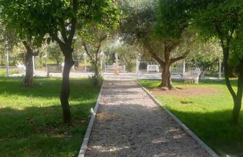 Tenuta Oliva - Foto 26