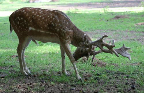 Gîte des trois vallees - Foto 44