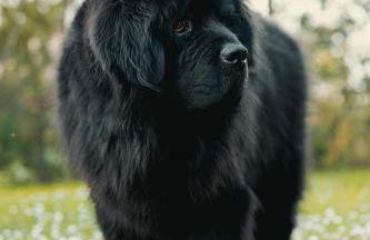 Casale Il Terranova - Foto 62