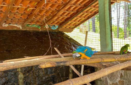 Casa de Campo Ibiúna Fazenda Vale Dourado - Photo 49