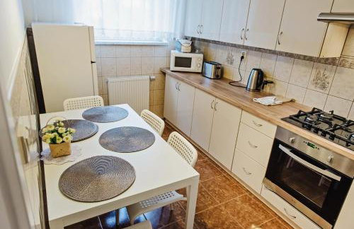 Apartament Witkiewicza Sanok - Foto 8