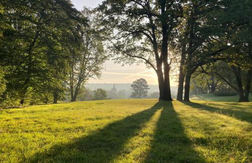 Rast am Park - Foto 22