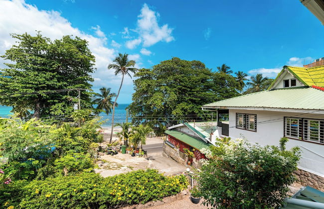 Beau Bamboo - Foto 65