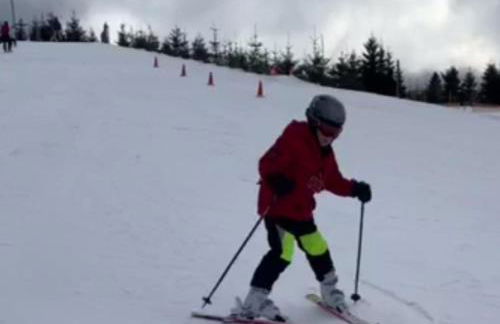 Ferienwohnung Wiesenblick in Seiffen - Foto 45