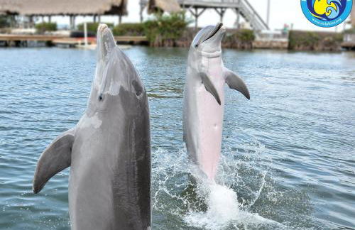 Blue Pearl New Waterfront Haven with Heated Pool ,70 Foot Dock, and More! - Foto 128