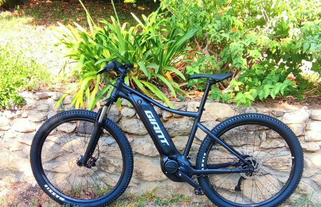 La Tinaia Country House - Photo 34