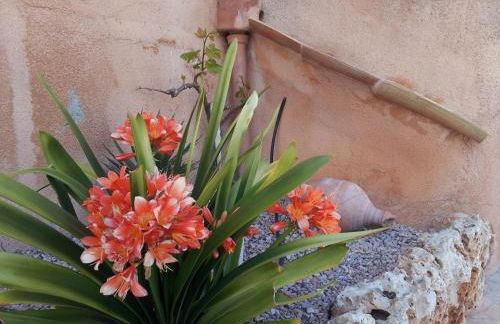 Agroturisme Es Picot - Foto 86