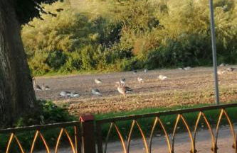 Apartment Landhaus Müritzliebe by Interhome - Foto 18