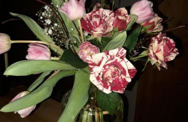 Ferienhaus auf einer Ebene mit eigenem Garten, Sommerpool und Badefass - Foto 23