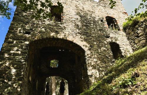 Ferienapartments Försterei Eibenstock - Foto 56