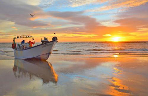 Estrelinha do Mar in Apulia - Photo 29