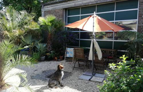 Villakunterbunt - Foto 4