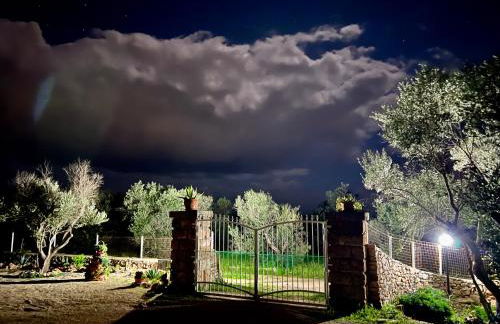 Trulli delle succulente - Foto 6