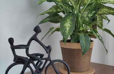 Ruhige Ferienwohnung „Südhang“ direkt am Wald - Foto 11