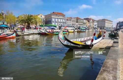 Casa do Cascão - Foto 18