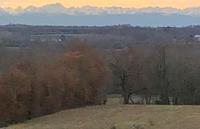 Le colibri - Photo 26