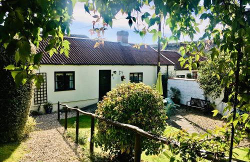 Owl - Ukc6107 - Photo 1