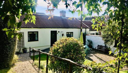 Owl - Ukc6107 - Foto 1