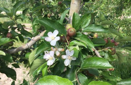 Quinta BEMBOA Turismo Espaço Rural - Foto 80