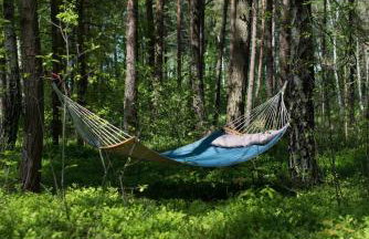 Bento Houses Domki w lesie, cisza pod Warszawą - Foto 16