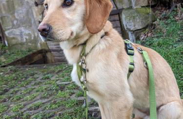 Spatzennest und Rabennest - Foto 32