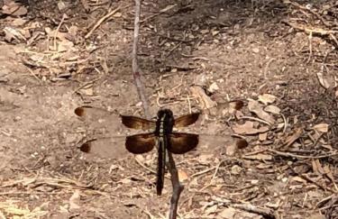 Fishers Of Men Ranch Home - Photo 57