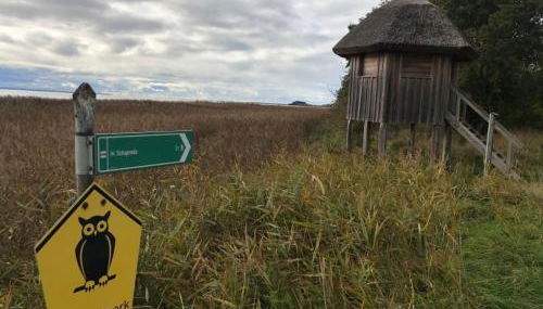 Apartment Traumhafte Ferienwohnung im Reetferienhaus by Interhome - Foto 5