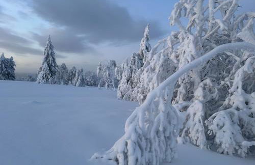 Ferienwohnung Brandenburger - Foto 38