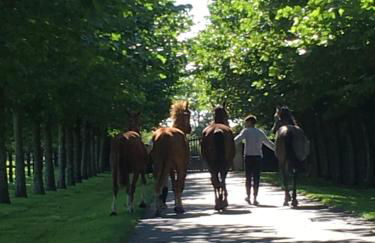 Holiday home Haras du Ry - Photo 53